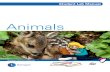 Animals - Student Lab Manual