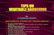 Tips on Vegetable Gardening