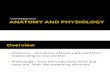 ANATOMY AND PHYSIOLOGY INTRO.pptx