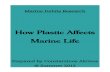 How Plastic Affects Marine Life C. Akrivos Research Paper