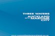 THREE WATERS: AUCKLAND AS A MARITIME CITY
