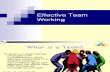 Presentation on Effective Team Working