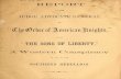 Report of the Judge Advocate General on "The Order of American Knights," alias "The Sons of Liberty". A western conspiracy in aid of the Southern Rebellion