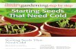 Starting Seeds That Need Cold