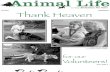 Animal Life June E-Edition