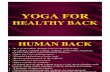 Yoga for Healthy Back