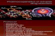 Pharmacogenetics of Adverse Drug Reactions