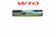 The WTO world trade organisation world trade organisation