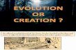 evolution vs creation GESL.pptx