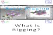 What is Rigging ( Rigging Definition )