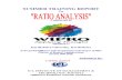 Mba Finance Ratoon Analysis