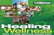 Healing Wellness Excerpt