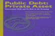 Public Debt Private Asset