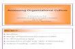 Assessing Organization Culture2