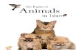 Animals Rights in Islam Eng