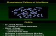 Chromosomal Patterns of Inheritance