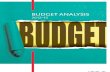 BDO_Budget 2012pdf (2)