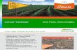 Corvus Corn Herbicide - 2012 Product Guide