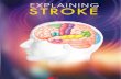 A Stroke Recovery Guide