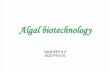 Algal Biotech