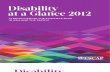 SDD Disability Glance 2012