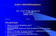 Lecture 5. Joint Mobilization