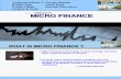 Micro Finance Final