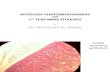 Histology Photomicrographs for 1st Year Mbbs Students by Dr Roomi. Pics