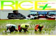 Rice Plus Magazine Quarterly ;6th ISSUE;July-September 2012;Lahore Pakistan Mujahid Ali ;Rice,