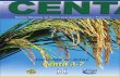 2002. CENTA. Boletín Técnico del Cultivo de Arroz CENTA A-7