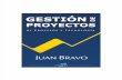 Libro GPPT 2009-5 Juan Bravo