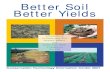 BetterSoilBetterYields-Conservation Technology Information Center 2001
