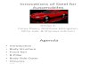 Automotive Innovation of Materials (1)