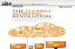 The Flexible Working Revolution