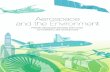GIFAS REPORT Aerospace and the Environment - June 2011