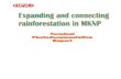 Expanding and Reconnecting Rain Forestation in MKNP Photodoc Terminal Report