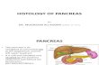 Histology of Pancreas by Dr. Roomi