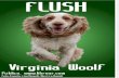 Woolf Virginia Flush