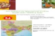 Malhotra_MNH Financing II JSY India