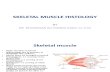 Skeletal Muscle Histology by Dr. Roomi