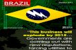 [Smart Grid Market Research] Brazil: The Smart Grid Network, Zpryme Smart Grid Insights, October 2011