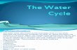 Biogeo Chemical Cycle -Watercycle