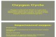 Oxygen Cycle Centrum