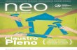 Suplemento Neo Año 2, número 30 (2010)