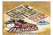 2012 Quad Cities River Bandits Group Guide