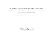 Carbohydrate ism Gluconeogenesis,Glycogenolysis