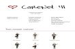 CareNet Fall2011 [PRES 03] Final Presentation Flatted