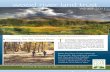 Wood River Land Trust Winter Newsletter 2011