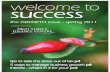 Welcome To Success - the GROWTH edition