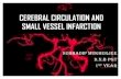 Cerebral Circulation and Small Vessel Infarction